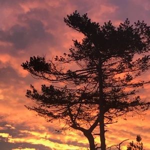 Meet your Posher, Sancha